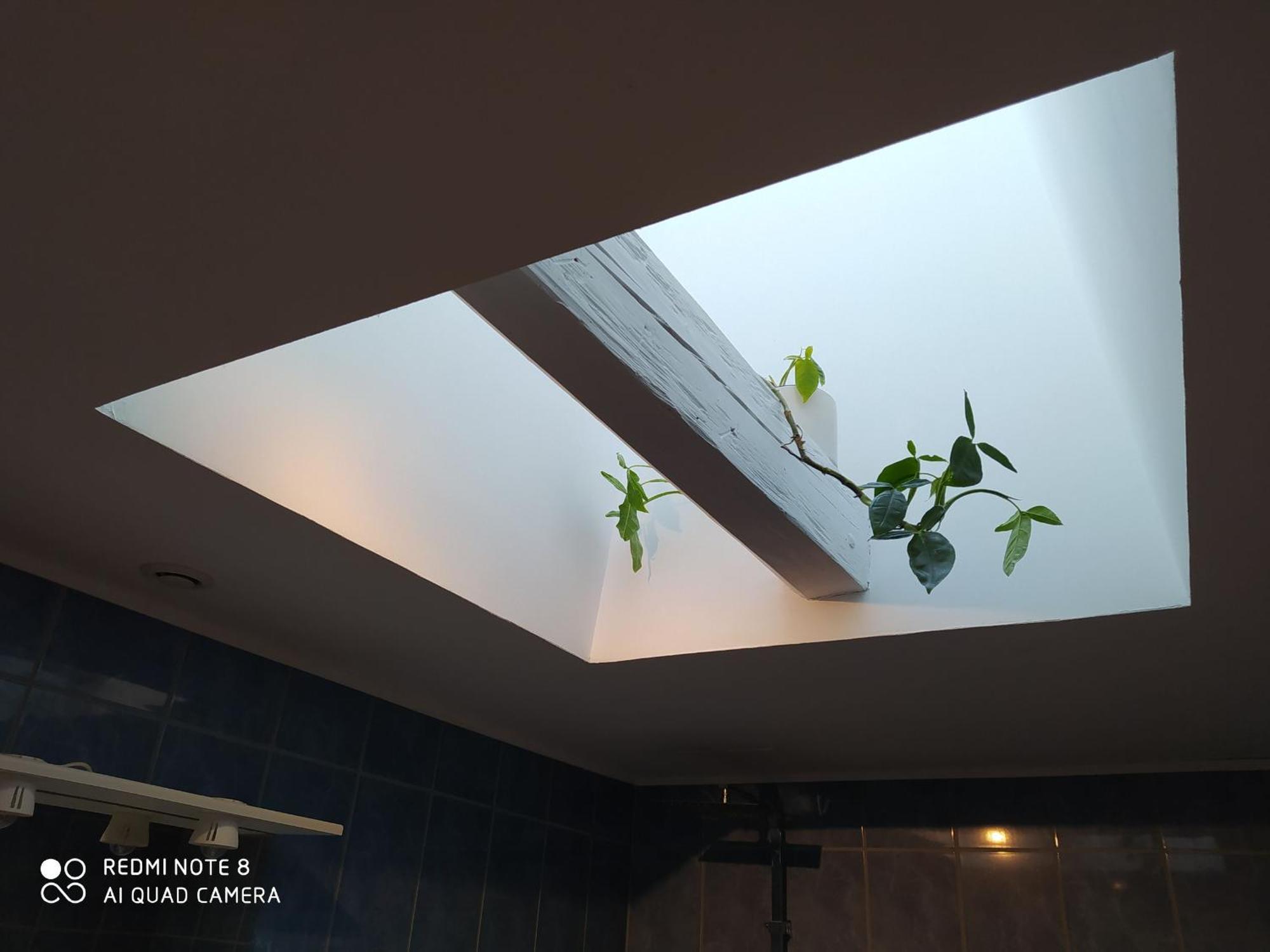 Gite Calme 4 Chambres, Terrasse Privative, Draps Inclus - Germonville - Fr-1-584-167 Exterior foto